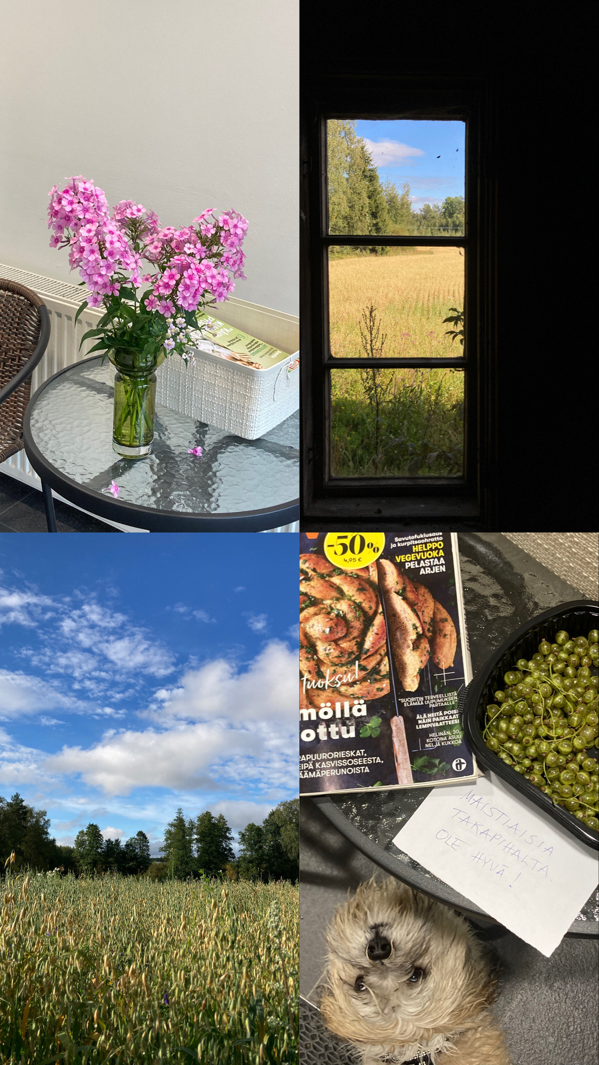 Raportti 8/25 –&nbsp;kaverijuttuja