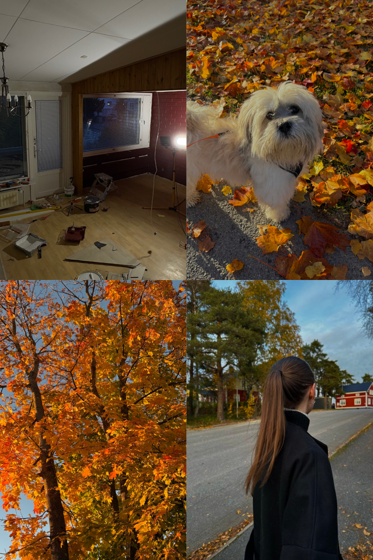 Raportti 10/25 –&nbsp;Työtön